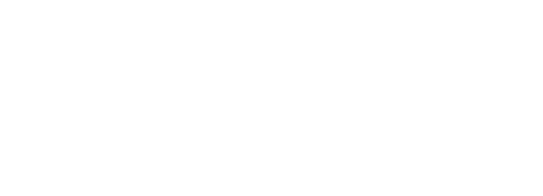 Salvus Mermaid